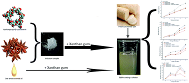 Graphical abstract: Browning control of fresh-cut Chinese yam by edible coatings enriched with an inclusion complex containing star anise essential oil