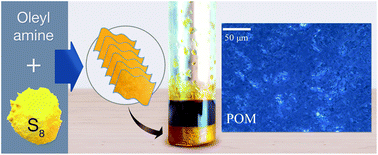 Graphical abstract: Sulfur–oleyl amine platelet derivatives with liquid crystalline behavior