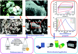 Graphical abstract: Bioresource derived porous carbon from cottonseed hull for removal of triclosan and electrochemical application