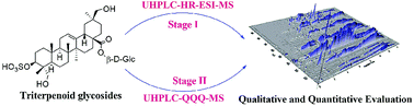 Graphical abstract: Two-stage mass spectrometry approach for the analysis of triterpenoid glycosides in Fagonia indica