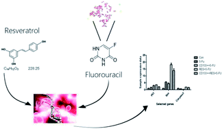 Graphical abstract: Effect of resveratrol on drug resistance in colon cancer chemotherapy