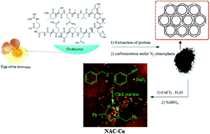 Graphical abstract: Immobilized copper nanoparticles on nitrogen-rich porous activated carbon from egg white biomass: a robust hydrophilic–hydrophobic balance catalyst for click reaction