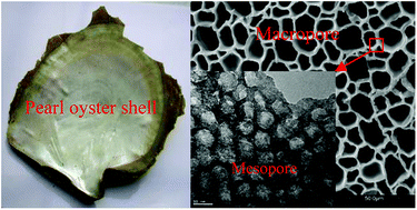 Graphical abstract: Hierarchically ordered macro–mesoporous anatase TiO2 prepared by pearl oyster shell and triblock copolymer dual templates for high photocatalytic activity