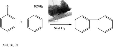 Graphical abstract: Study of Pd-based catalysts within red algae-derived polysaccharide supports in a Suzuki cross-coupling reaction