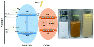 Graphical abstract: Goethite–titania composite: disinfection mechanism under UV and visible light