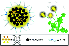 Graphical abstract: Facile fabrication of water-dispersible nanocomposites based on hexa-peri-hexabenzocoronene and Fe3O4 for dual mode imaging (fluorescent/MR) and drug delivery