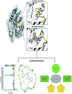 Graphical abstract: Allosteric inhibition induces an open WPD-loop: a new avenue towards glioblastoma therapy