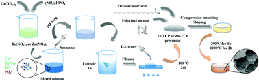 Graphical abstract: Fe/Zn-modified tricalcium phosphate (TCP) biomaterials: preparation and biological properties