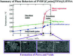 Graphical abstract: Influence of lithium salt-induced phase separation on thermal behaviors of poly(vinylidene fluoride)/ionic liquid gels and pore/void formation by competition with crystallization