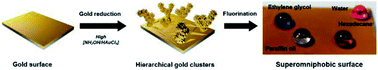 Graphical abstract: Growth of hierarchical gold clusters for use in superomniphobic electrodes