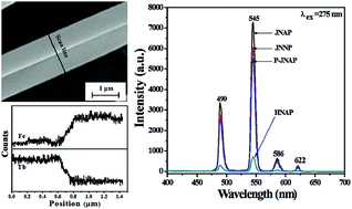 Graphical abstract: Janus nanofiber array pellicle: facile conjugate electrospinning construction, structure and bifunctionality of enhanced green fluorescence and adjustable magnetism