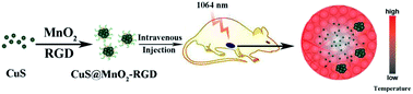 Graphical abstract: Dual-response CuS@MnO2 nanoparticles with activatable CT/MR-enhanced in vivo imaging guided photothermal therapy