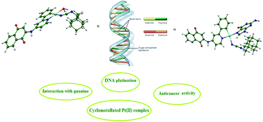 Graphical abstract: Experimental and theoretical investigation of cyclometallated platinum(ii) complex containing adamantanemethylcyanamide and 1,4-naphthoquinone derivative as ligands: synthesis, characterization, interacting with guanine and cytotoxic activity