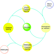 Graphical abstract: Homogeneous hydroformylation of long chain alkenes catalyzed by water soluble phosphine rhodium complex in CH3OH and efficient catalyst cycling