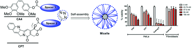 Graphical abstract: Combretastatin A4-camptothecin micelles as combination therapy for effective anticancer activity