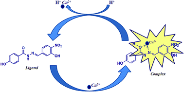 Graphical abstract: A selective detection approach for copper(ii) ions using a hydrazone-based colorimetric sensor: spectroscopic and DFT study