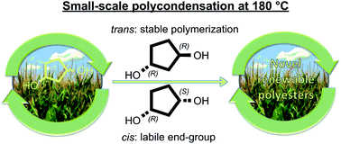 Graphical abstract: Small-scale screening of novel biobased monomers: the curious case of 1,3-cyclopentanediol