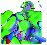 Graphical abstract: LSA: a local-weighted structural alignment tool for pharmaceutical virtual screening