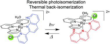 Graphical abstract: Photoisomerization and thermal isomerization of ruthenium aqua complexes with chloro-substituted asymmetric bidentate ligands