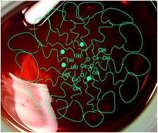 Graphical abstract: Surface properties of ceria synthesised using Triton-X based reverse microemulsions