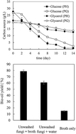 Graphical abstract: Microbial oil production from acidified glycerol pretreated sugarcane bagasse by Mortierella isabellina