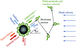 Graphical abstract: Thermal conductivity and molecular heat transport of nanofluids