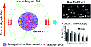 Graphical abstract: Development of hollow ferrogadolinium nanonetworks for dual-modal MRI guided cancer chemotherapy