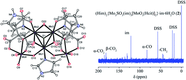 Graphical abstract: Molybdenum imidazole citrate and bipyridine homocitrate in different oxidation states – balance between coordinated α-hydroxy and α-alkoxy groups