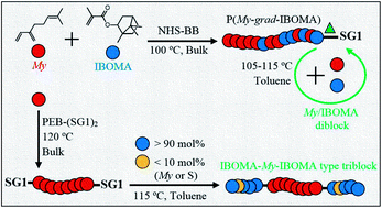 Graphical abstract: β-Myrcene/isobornyl methacrylate SG1 nitroxide-mediated controlled radical polymerization: synthesis and characterization of gradient, diblock and triblock copolymers