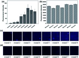 Graphical abstract: Rapid selection of aptamers based on protein microarray