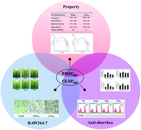 Graphical abstract: The anti-diarrhea activity of red algae-originated sulphated polysaccharides on ETEC-K88 infected mice