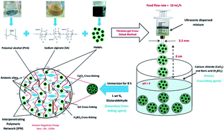 Graphical abstract: Development and application of novel bio-magnetic membrane capsules for the removal of the cationic dye malachite green in wastewater treatment