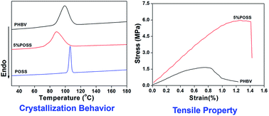Graphical abstract: Morphology and crystallization behavior of poly(3-hydroxybutyrate-co-3-hydroxyvalerate)/polyhedral oligomeric silsesquioxane hybrids