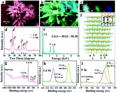 Graphical abstract: Bi-component synergic effect in lily-like CdS/Cu7S4 QDs for dye degradation