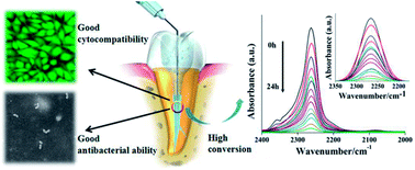 Graphical abstract: A comparison of the characteristics of polyurethane-based sealers including various antimicrobial agents