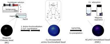 Graphical abstract: Amino-functionalized magnetic chitosan beads to enhance immobilization of potassium copper hexacyanoferrate for selective Cs+ removal and facile recovery