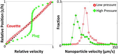 Graphical abstract: Elastohydrodynamic lubricant flow with nanoparticle tracking