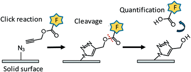 Graphical abstract: Quantification of azide groups on a material surface and a biomolecule using a clickable and cleavable fluorescent compound