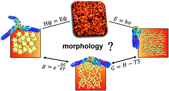 Graphical abstract: Polymorphism of hydrogen-bonded star mesogens – a combinatorial DFT-D and FT-IR spectroscopy study