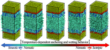 Graphical abstract: Mesoscopic simulations of temperature-dependent anchoring and wetting behavior at aqueous–liquid crystal interfaces in the presence of a rod–coil amphiphilic monolayer