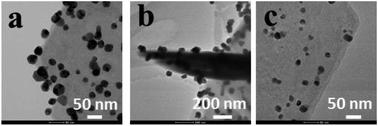 Graphical abstract: Mussel-inspired nano-silver loaded layered double hydroxides embedded into a biodegradable polymer matrix for enhanced mechanical and gas barrier properties