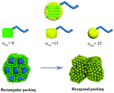 Graphical abstract: Computer simulation study on the self-assembly of tethered nanoparticles with tunable shapes