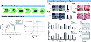 Graphical abstract: Discovery of novel elongator protein 2 inhibitors by compound library screening using surface plasmon resonance