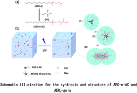 Graphical abstract: Effects of amphiphilic monomers and their hydrophilic spacers on polyacrylamide hydrogels