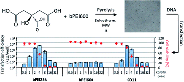 Graphical abstract: Influence of carbonization conditions on luminescence and gene delivery properties of nitrogen-doped carbon dots