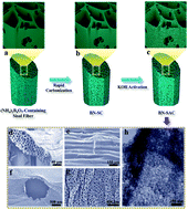 Graphical abstract: B, N-dual doped sisal-based multiscale porous carbon for high-rate supercapacitors