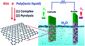 Graphical abstract: Nitrogen and sulfur-codoped porous carbon derived from a BSA/ionic liquid polymer complex: multifunctional electrode materials for water splitting and supercapacitors