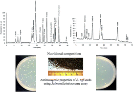 Graphical abstract: Nutritional composition of Eragrostis teff and its association with the observed antimutagenic effects