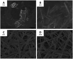 Graphical abstract: Growth mechanism of SnC2H4O2 nanowires prepared by the polyol process as SnO2 precursor nanowires