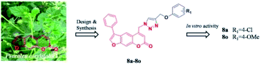 Graphical abstract: Preparation of novel 1,2,3-triazole furocoumarin derivatives via click chemistry and their anti-vitiligo activity
